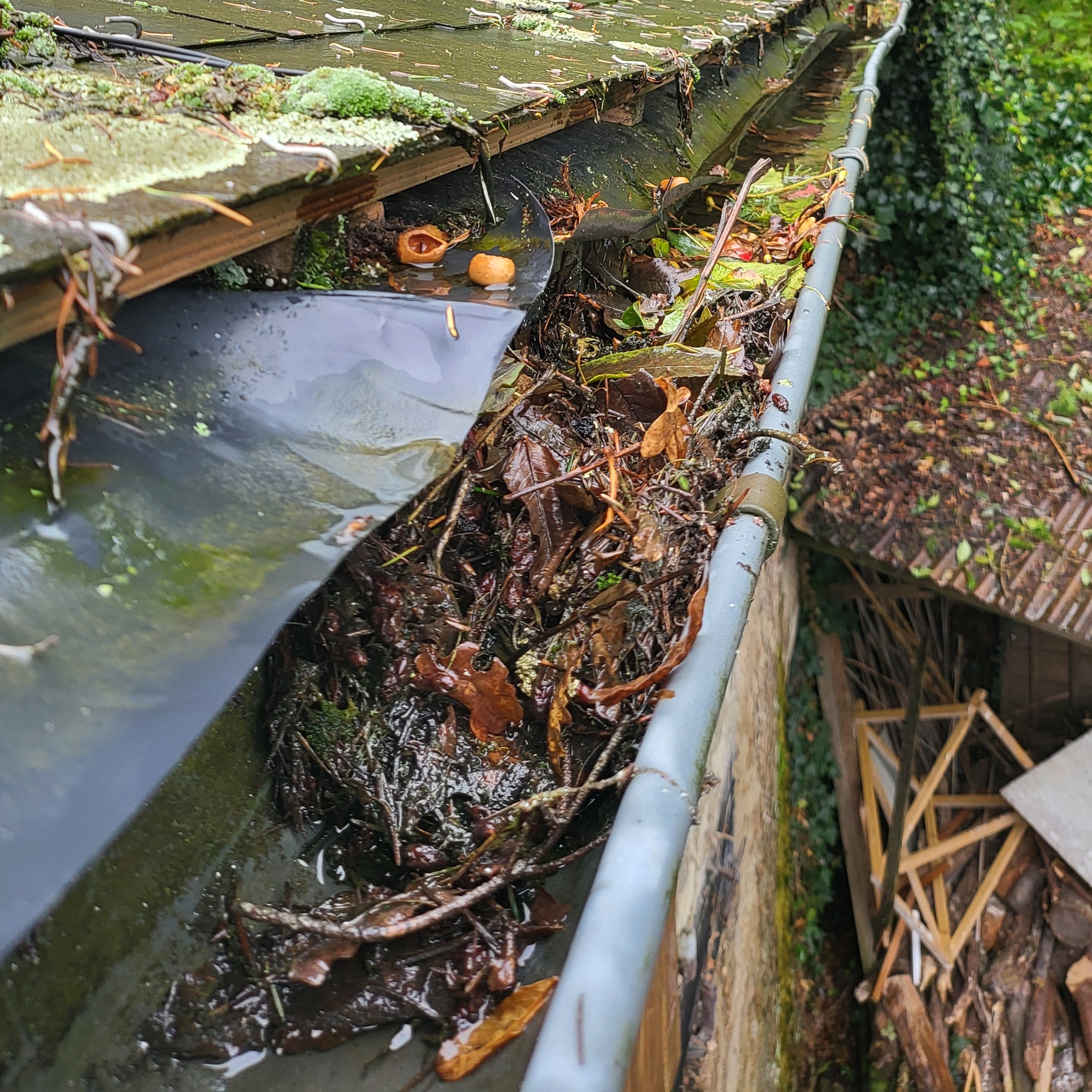 gutters before